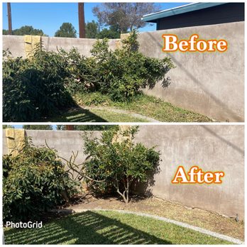 Greenside Landscaping - Back yard, cleaned out bed full of weeds and trimmed our Avocado and Mandarin orange tree without hurting our fruit. - Artificial Turf Near Me