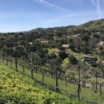 Al Lago Wines - Wine Tasting Room Near Me - Paso Robles, California