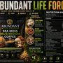 Photo of Abundant Life Force