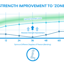 SpineZone Physical Therapy