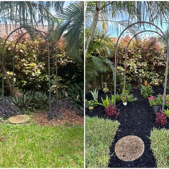 Tropical Tree and Landscape - Tree Services Near Me - Boynton Beach, Florida Tropical Tree and Landscape - Tree Services Near Me - Boynton Beach, Florida