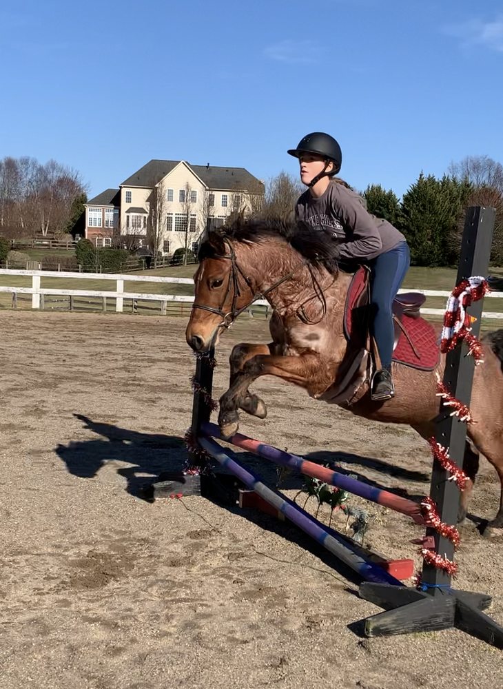 STERLING HARBOR RIDING ACADEMY Updated October 2024 49 Photos