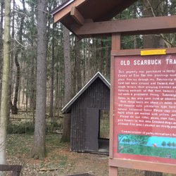 Erie County Forest