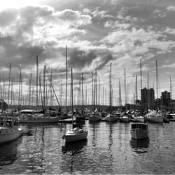 Rushcutters Bay Park