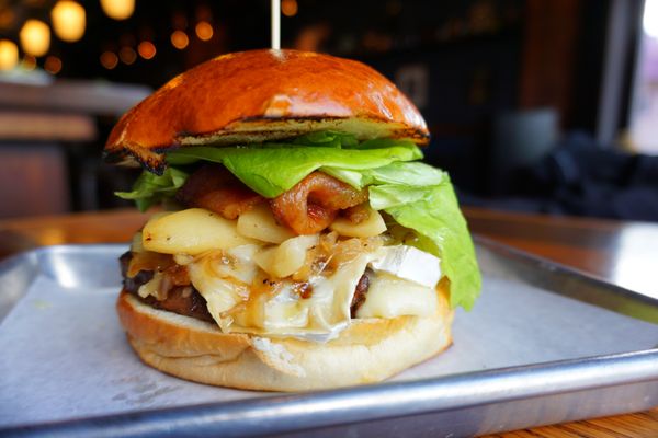 Black Duck Tavern by null