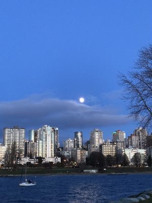 Vanier Park by null
