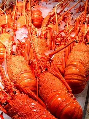 Kailis Bros Leederville by null