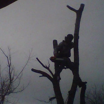 Oscar Ponce Tree Service - Tree Services Near Me Oscar Ponce Tree Service - Tree Services Near Me