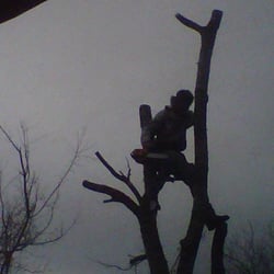 Oscar Ponce Tree Service