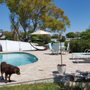 Photo of Kayvan Pools