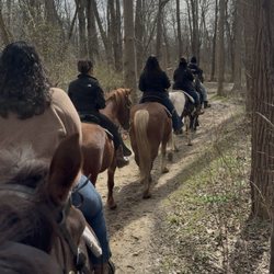 Family stables - On the trail ride