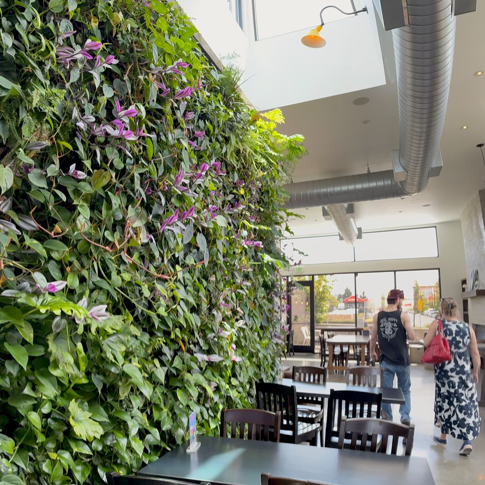 Whidbey Coffee - Coffee & Tea Near Me - Burlington, Washington