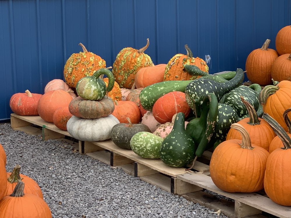 LAYMAN FEED & LAWN Updated September 2024 14 Photos 705 E Main St