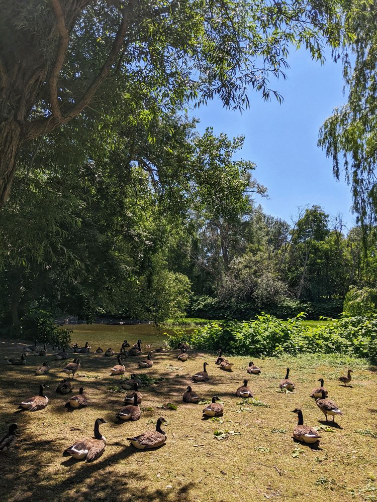 CAZENOVIA PARK Updated September 2024 49 Photos & 11 Reviews 25