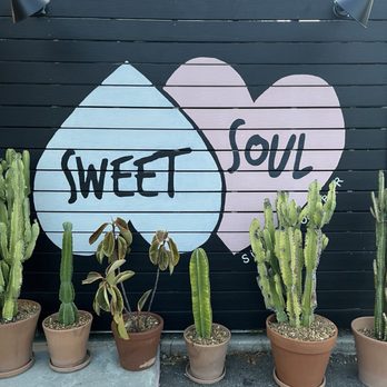 Sweet Soul - Juice Bars & Smoothies Near Me - Tampa, Florida Sweet Soul - Juice Bars & Smoothies Near Me - Tampa, Florida