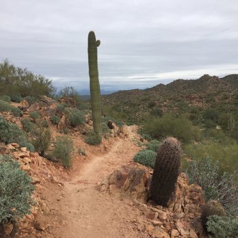 Hawes Trail System - Trail to fat tires smokin! - Parks Near Me