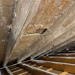 Evergreen Insulation