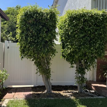 Irvine Fence - Fences & Gates Near Me - Anaheim, California Irvine Fence - Fences & Gates Near Me - Anaheim, California