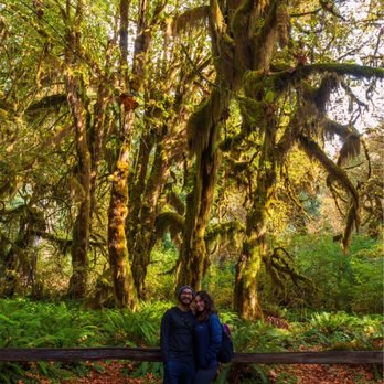 Olympic National Park - Hoh Rainforest - Parks Near Me - Port Angeles, Washington
