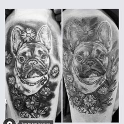 The Gallery Tattoo Shop Spartanburg - My french bulldog - original on left (diff artist) MJ's rework on right.