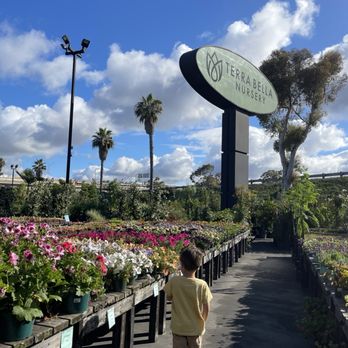 Terra Bella Nursery - Nurseries & Gardening Near Me - San Diego, California Terra Bella Nursery - Nurseries & Gardening Near Me - San Diego, California