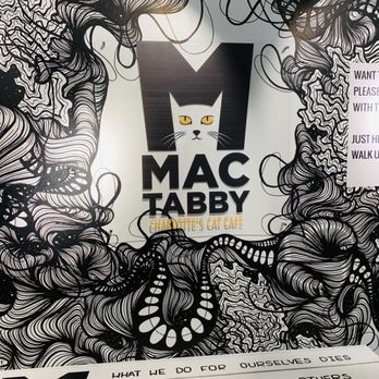 Mac Tabby Cat Cafe - Front entry - Themed Cafes Near Me - Charlotte, North Carolina Mac Tabby Cat Cafe - Front entry - Themed Cafes Near Me - Charlotte, North Carolina