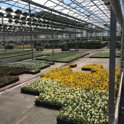 Maryland Flower & Foliage Company