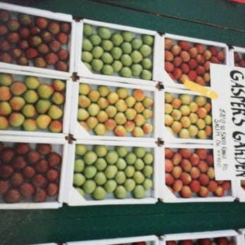 Gasper's Garden - Gasper's garden's apples won 3 place at the Canfield Fair! - Fruits & Veggies Near Me - Salem, Ohio Gasper's Garden - Gasper's garden's apples won 3 place at the Canfield Fair! - Fruits & Veggies Near Me - Salem, Ohio