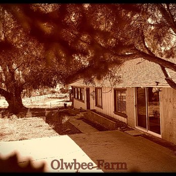 OwlBee Farm - Campgrounds Near Me - Hemet, California