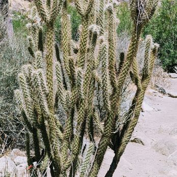 Tahquitz Canyon - Hiking Near Me - Palm Springs, California Tahquitz Canyon - Hiking Near Me - Palm Springs, California