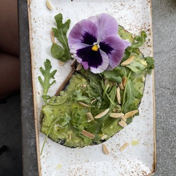 Toasted Gastrobrunch - Thank you Yelp for the complimentary avocado toast!!!! But thank you Jessie for the amazing Service - Breakfast & Brunch Near Me - Oceanside, California Toasted Gastrobrunch - Thank you Yelp for the complimentary avocado toast!!!! But thank you Jessie for the amazing Service - Breakfast & Brunch Near Me - Oceanside, California