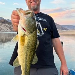 Steckel Fishing