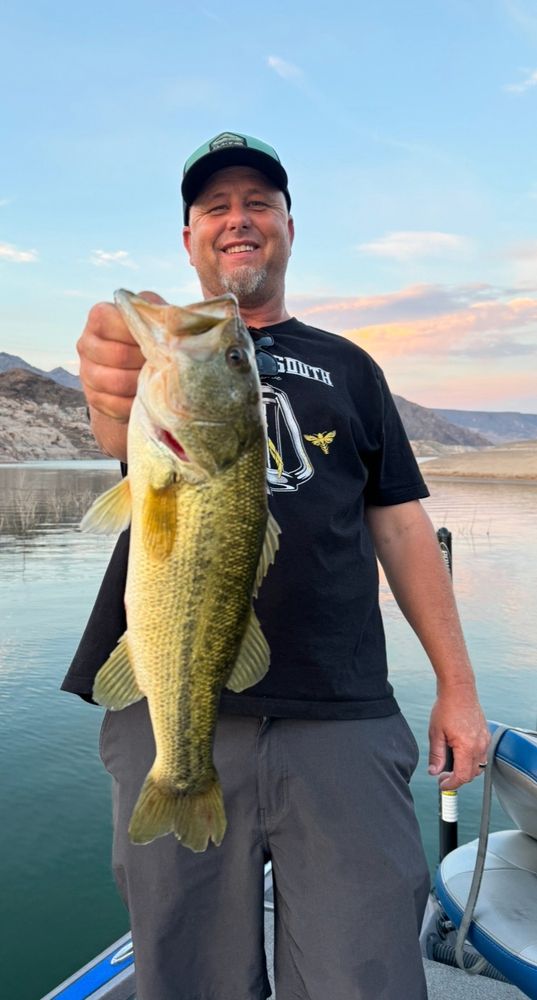 Steckel Fishing Logo