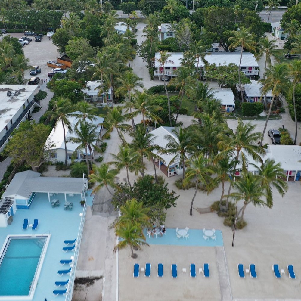 Pines and Palms Resort - Pool and sunbathing areas. Both are very clean. - Resorts Near Me - Islamorada, Florida Pines and Palms Resort - Pool and sunbathing areas. Both are very clean. - Resorts Near Me - Islamorada, Florida
