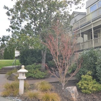 Gaige House - walkway up to main house - Hotels Near Me - Glen Ellen, California Gaige House - walkway up to main house - Hotels Near Me - Glen Ellen, California