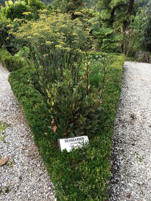 Solitaire Lodge by null