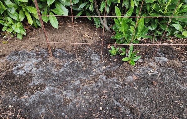 Cedar Grove Composting by null