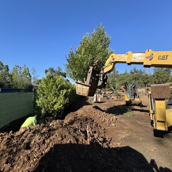 Von Greiff Tree Care - Tree Services Near Me