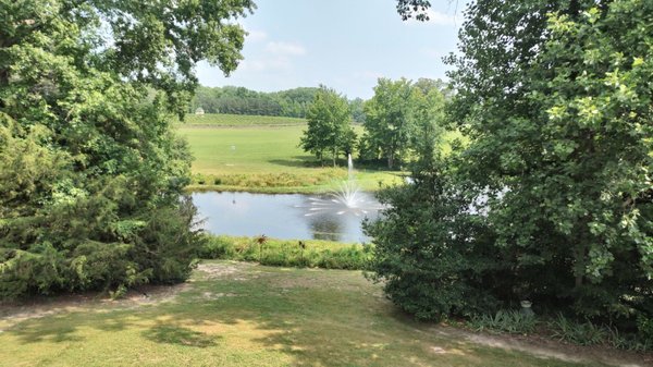 Gauthier Vineyard by null