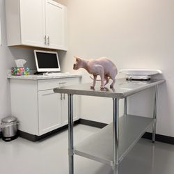 Animal Hospital of Randall Plaza
