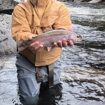 Grid North Guide Service - Rainbow Trout - Fishing Near Me Grid North Guide Service - Rainbow Trout - Fishing Near Me