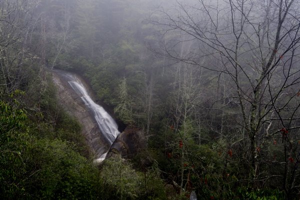 Gorges State Park by null