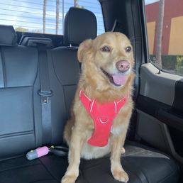 Happy girl! After getting groomed Happy girl! After getting groomed