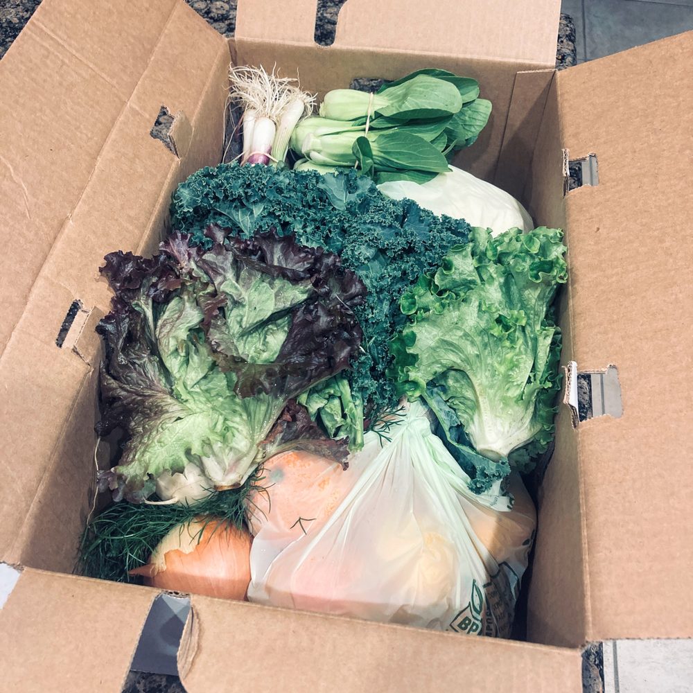Ferrer Farm - Another view of the box contents - this one is from 3 days ago - Farms Near Me Ferrer Farm - Another view of the box contents - this one is from 3 days ago - Farms Near Me