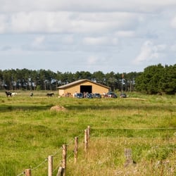 Wollesen's Rømø-Ranch