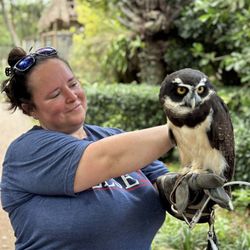Zoological Wildlife Foundation - Spectacled owl encounter