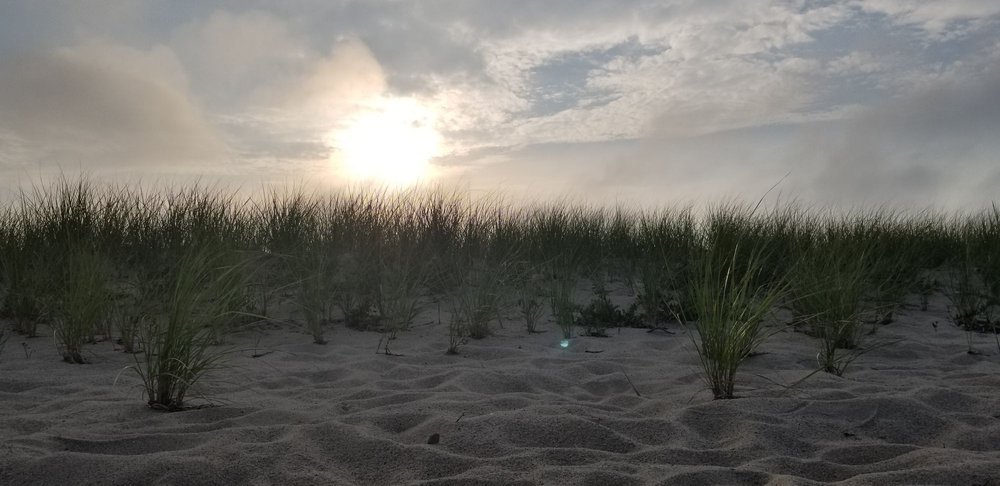 Cape Poge Wildlife Refuge Logo