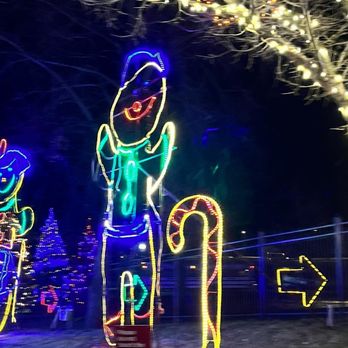 Zoolights - Local Flavor Near Me - Chicago, Illinois