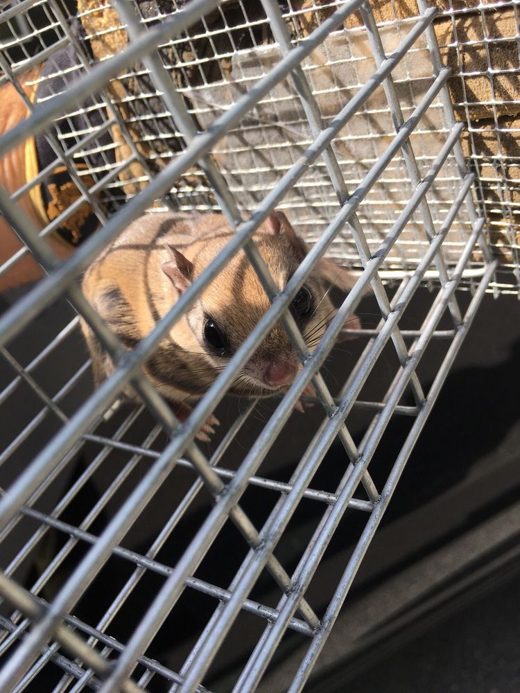 CRITTER CONTROL Updated September 2024 Request a Quote 113 SE