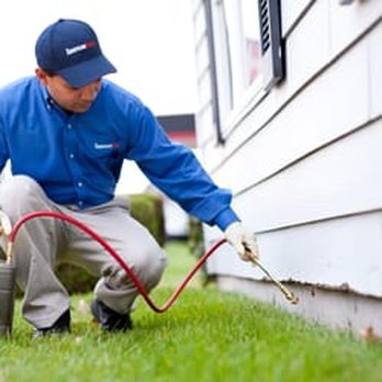 American Pest - Exterior spray treatment to foundation for crawling insect pests link ants, crickets, spiders and clover mites. *general pest control - Pest Control Near Me American Pest - Exterior spray treatment to foundation for crawling insect pests link ants, crickets, spiders and clover mites. *general pest control - Pest Control Near Me